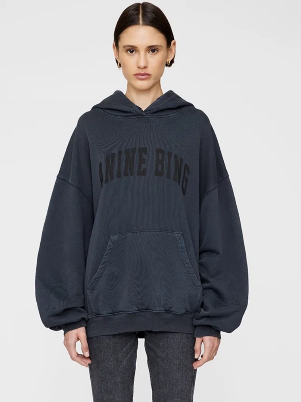 Anine Bing Harvey Hoodie